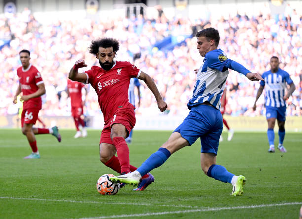 结合了社交 结合了社交